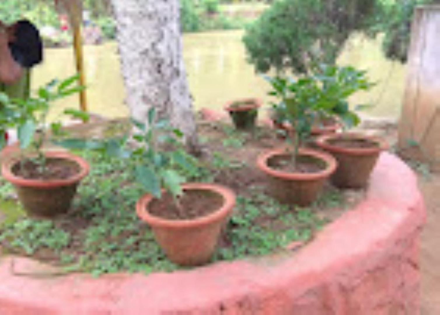 Brahmaputra Jungle Resort Guwahati Ngoại thất bức ảnh